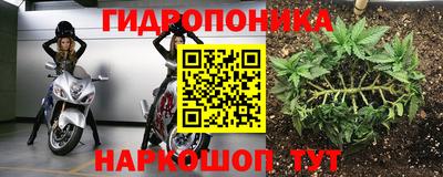 альфа пвп Лесосибирск