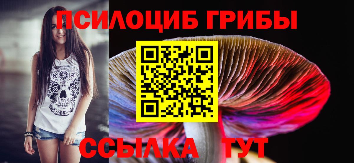Всеволожск  Галлюциногенные грибы Psilocybine cubensis  Вход с VPN  Псилоцибиновые грибы MAGIC MUSHROOMS 